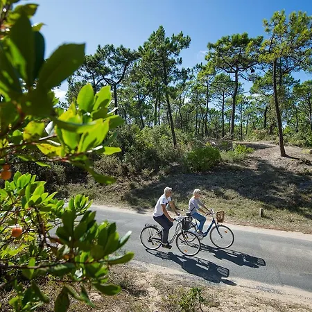 - Maison Lumineuse - 300m De La